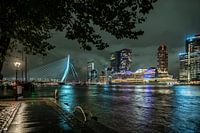 Uitzicht over Maas Rotterdam, Erasmusbrug, cruiseschip en De Rotterdam