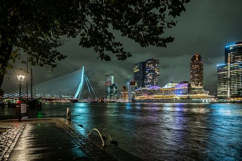 Views over Maas Rotterdam, Erasmus Bridge, cruise ship and De Rotterdam