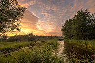 zonsondergang in de Wieden Overijssel van Tara Kiers thumbnail