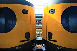 Trein kop-staart bij Woerden