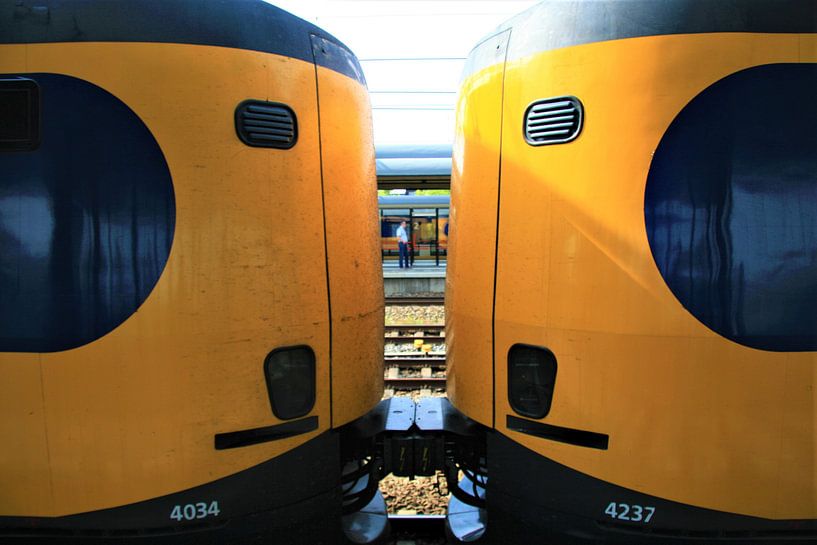 Trein kop-staart bij Woerden von Christiaan Klompstra