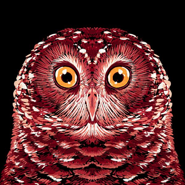 Bird Series   Owl 1 by Rohan Dahotre