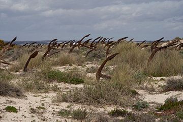 Anker kerkhof in de duinen in de Algarve van Cor de Hamer