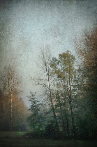 Frühherbstliches Licht