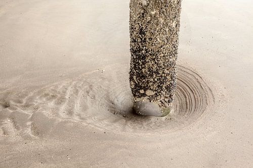 Pier von Blankenberge
