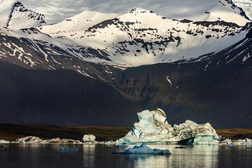 Gletscherbrocken vor Gebirgsmassiv