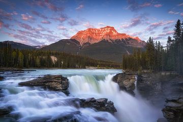 Chutes d'Athabasca Canada sur Vincent Fennis