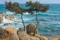 Ostküste Sardinien