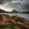 Herfststorm in de Lofoten van Edwin Mooijaart