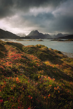 Tempête d'automne sur les Lofoten