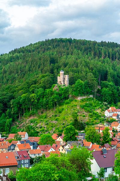 Sommerliche Entdeckungstour durch den Thüringer Wald bei Steinbach-Hallenberg - Thüringen von Oliver Hlavaty