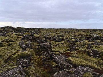 Lavafeld auf Reykjanes von Timon Schneider