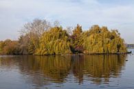 Reflecties in de herfst bij de Kralingse plas van Nel Diepstraten thumbnail