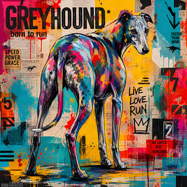 Greyhound - Portrait graffiti pop art