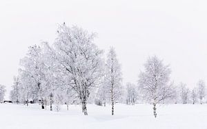 Paysage norvégien enneigé sur Adelheid Smitt