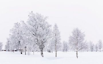 Verschneite norwegische Landschaft