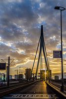 Zonsondergang op de Erasmusbrug