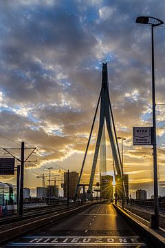 Sonnenuntergang auf der Erasmus-Brücke von Klaus Lucas