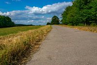 sentier piétonnier