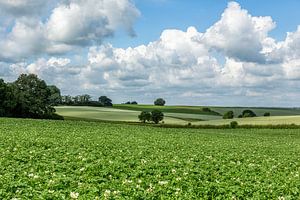 Rollende Hügel in Süd-Limburg