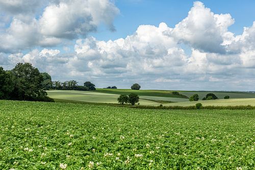 Glooiende heuvels in Zuid-Limburg