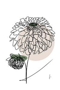 Dalia
