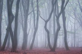 Bûches dans le brouillard Speulderbos sur Jurjen Veerman