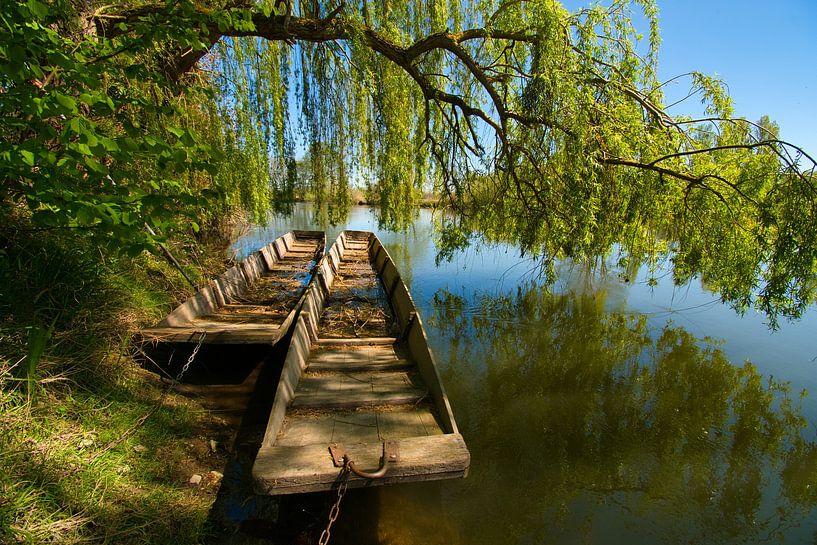 Frühlimg im Grand Ried im Elsass von Tanja Voigt