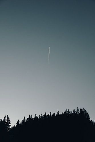 Viele Bäume, viel Himmel