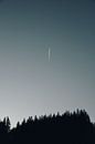 Veel bomen, veel lucht van Paul Witton thumbnail