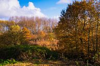 Herfst langs de plas van FotoGraaG Hanneke thumbnail