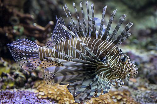 Good morning von Andreas Wemmje