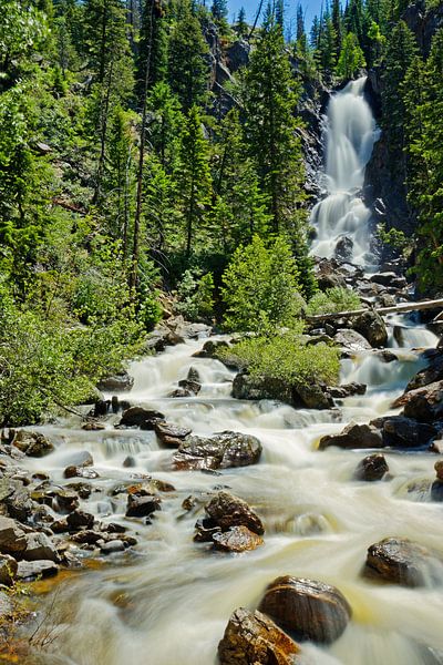 Chute d'eau du Fisch Bach près de Steamboat Springs dans le Colorado par Alexander Ließ