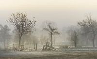 Friesische Landschaft
