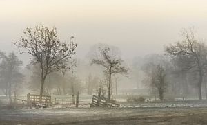 Fries landschap van Teo Goudriaan