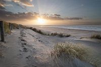 Stroll at the beach