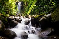 Waterval in het regenwoud van Panama van Michiel Dros thumbnail