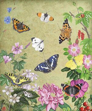 Butterflies fly among a sea of flowers by Jasper de Ruiter