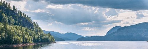 Paysage (eau, montagnes, forêt) en Norvège