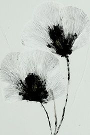 Soft Bloom Duo von Chromatic Storm Studio