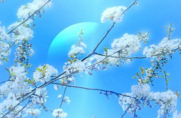 Mond-Blüten von Vera Laake