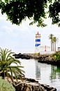 Paradijs eiland met een tropische  en idyllische sfeer van Celisze. Photography thumbnail