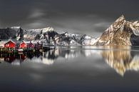Vissershuisjes op de Lofoten van Paul Roholl thumbnail