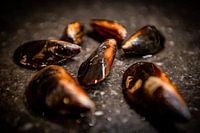 Mussels