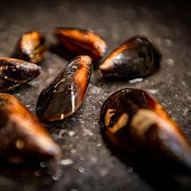 Mussels by Frans Scherpenisse