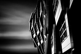 The Wave in Almere van Henk Langerak