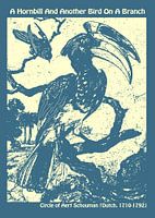 Ein Nashornvogel und ein anderer Vogel auf einem Ast im Kreis von Aert Schouman