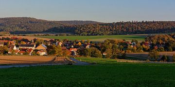The Village of Oberbeisheim van Gisela Scheffbuch