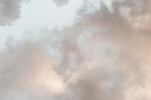 Never forget to look up