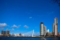 Erasmusbrug in Rotterdam